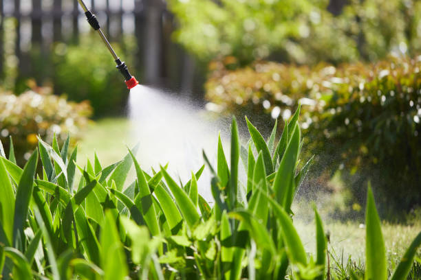 24/7 Emergency Wasp Removal experts in Scottsburg, IN