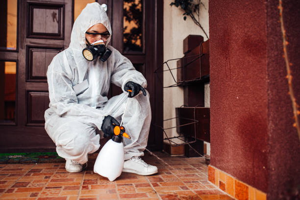 Reliable Wasp Removal contractor in Scottsburg, IN by Show Me Pest Control